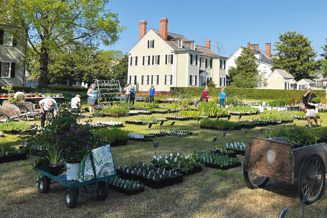 Stanly House Garden